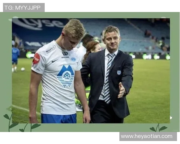 足球明星带尔的传奇之路与辉煌成就解析