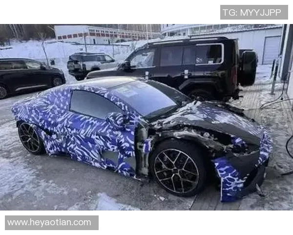 俄罗斯足球明星豪宅挂牌出售引发市场热议价格令人瞩目