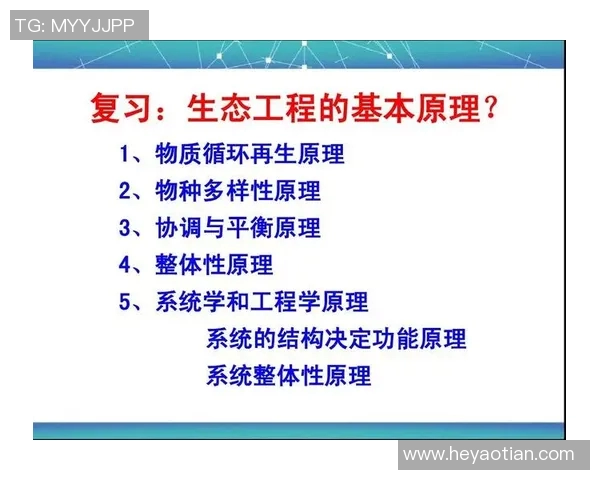 探索上海体育培训机构加盟的最佳选择与发展前景分析